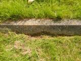 image of grave number 808922